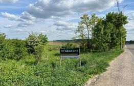 Teren, 11800mp, zona Siret