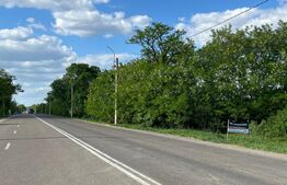 Teren, 11800mp, zona Siret