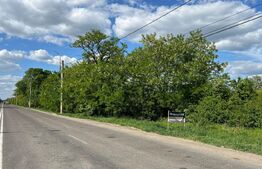 Teren, 11800mp, zona Siret