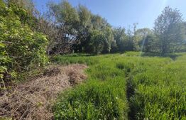 Casa renovabila/demolabila, teren 1250 mp, Radauti