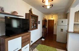 Apartament 2 camere, 43 mp, zona George Enescu