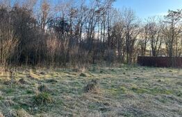 Oportunitate! Casa individula -zona centrala- SIRET