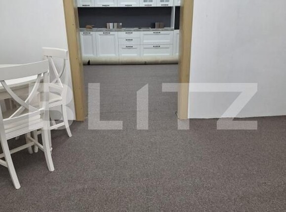 Spațiu comercial de închiriat Central - 146652SIC | BLITZ Suceava | Poza9