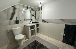 Spatiu comercial, 80 mp, parter, zona Burdujeni