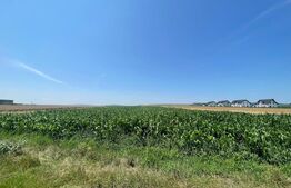  Teren Intravilan, 10300 mp, zona Mitocului