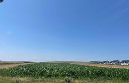  Teren Intravilan, 10300 mp, zona Mitocului