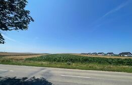  Teren Intravilan, 10300 mp, zona Mitocului