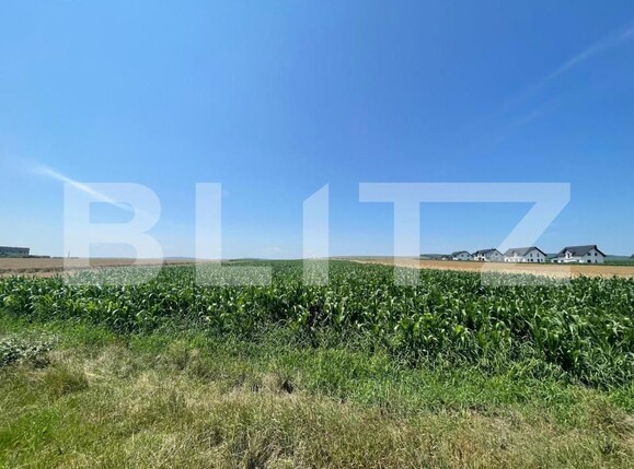 Teren de vânzare Exterior Nord - 146697TV | BLITZ Suceava | Poza3