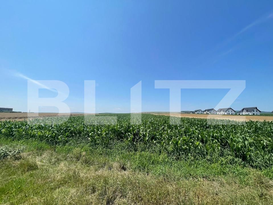 Teren de vânzare Exterior Nord - 146697TV | BLITZ Suceava | Poza3