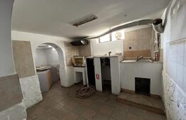 Spatiu comercial + locuibil, 387 mp utili, teren 317 mp