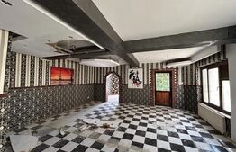 Spatiu comercial + locuibil, 387 mp utili, teren 317 mp