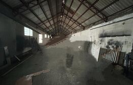 Complex industrial , 7300 mp teren , 3 x hale , sediu administrativ , zona Itcani 