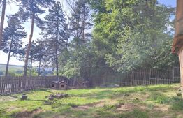 Apartament 4 camere, pe 2 nivele, 164 mp utili, cartier Burdujeni-Sat