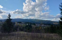 Teren 10000 mp, Dorna Arini 