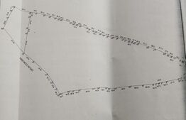 Teren 10000 mp, Dorna Arini 