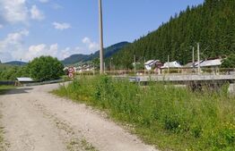 Spațiu industrial de 494 mp si teren aferent de 2.100 mp in Iacobeni 