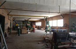 Spațiu industrial de vânzare Periferie - 169213SVI | BLITZ Suceava | Poza2