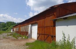 Spații industriale de 1.075 mp și teren de 6.194 mp in zona Vatra Dornei 
