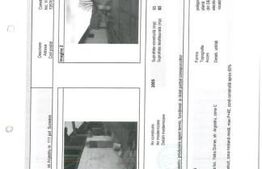 Spații industriale + birouri cu suprafata de 1.075 mp și teren de 6.194 mp in zona Vatra Dornei 