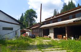 Spații industriale de 1.075 mp și teren de 6.194 mp in zona Vatra Dornei 