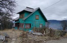 Teren intravilan 12.307 mp Dorna Arini