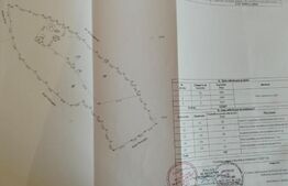 Teren intravilan 12.307 mp Dorna Arini