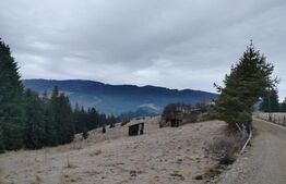 Teren intravilan 12.307 mp Dorna Arini