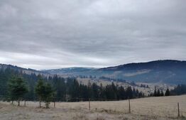 Teren intravilan 12.307 mp Dorna Arini