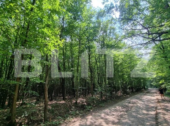 Teren de vânzare Nord - 146875TV | BLITZ Suceava | Poza1