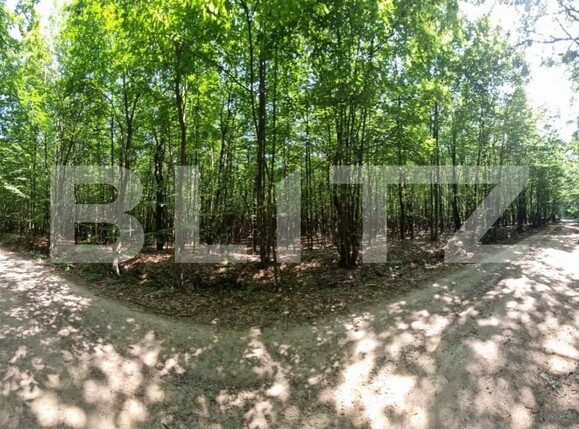 Teren de vânzare Nord - 146875TV | BLITZ Suceava | Poza3