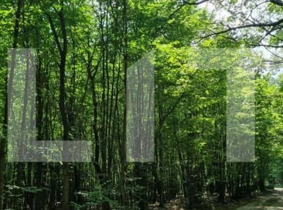 Teren de vânzare Nord - 146875TV | BLITZ Suceava | Poza2