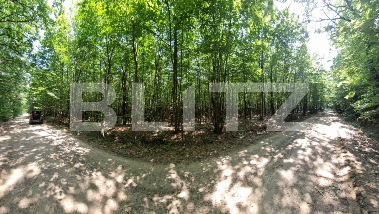 Teren de vânzare Nord - 146875TV | BLITZ Suceava | Poza3