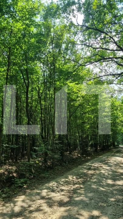 Teren de vânzare Nord - 146875TV | BLITZ Suceava | Poza2