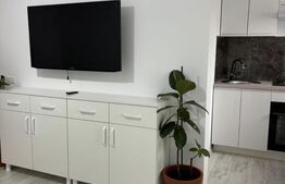 Garsoniera confort I, mobilata modern, 30 mp, cartier George Enescu