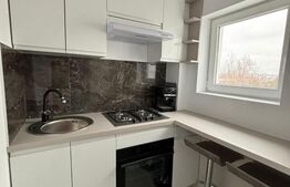 Garsoniera confort I, mobilata modern, 30 mp, cartier George Enescu