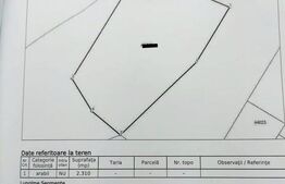 Teren extravilan 2310 mp in Gura Humorului