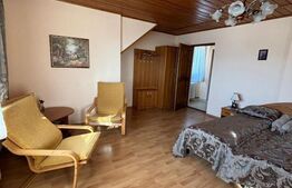 Casa cu destinatii multiple, 8900 mp teren, Vatra Moldovitei