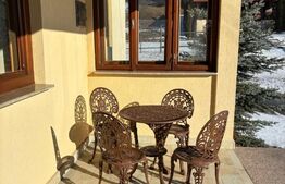 Casa cu destinatii multiple, 8900 mp teren, Vatra Moldovitei