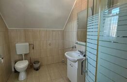 Casa cu destinatii multiple, 8900 mp teren, Vatra Moldovitei