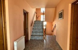 Casa cu destinatii multiple, 8900 mp teren, Vatra Moldovitei