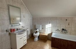 Casa cu destinatii multiple, 8900 mp teren, Vatra Moldovitei