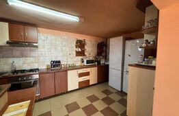 Casa cu destinatii multiple, 8900 mp teren, Vatra Moldovitei