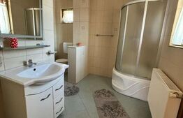 Casa cu destinatii multiple, 8900 mp teren, Vatra Moldovitei