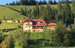 Casa cu destinatii multiple, 8900 mp teren, Vatra Moldovitei