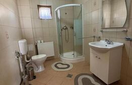 Casa cu destinatii multiple, 8900 mp teren, Vatra Moldovitei