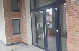 Spatiu comercial, Premium, Renovat Recent, 690 mp, zona Centrală