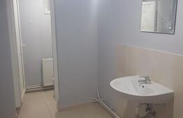 Spatiu comercial, Premium, Renovat Recent, 690 mp, zona Centrală