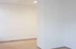 Spatiu comercial, Premium, Renovat Recent, 690 mp, zona Centrală