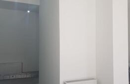 Spatiu comercial, Premium, Renovat Recent, 690 mp, zona Centrală