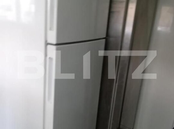 Spațiu comercial de închiriat Burdujeni - 147043SIC | BLITZ Suceava | Poza8